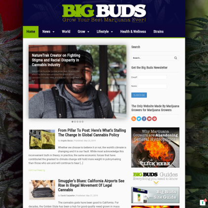 A detailed screenshot showcasing the homepage of bigbudsmag.com, highlighting its main features and design elements.