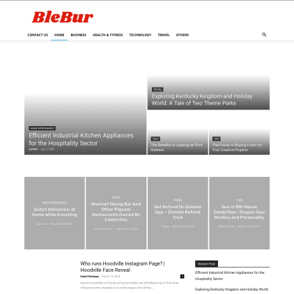 A detailed screenshot showcasing the homepage of blebur.com, highlighting its main features and design elements.