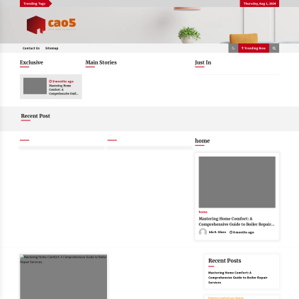 A detailed screenshot showcasing the homepage of cao5.info, highlighting its main features and design elements.