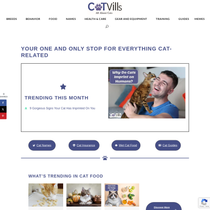 A detailed screenshot showcasing the homepage of catvills.com, highlighting its main features and design elements.