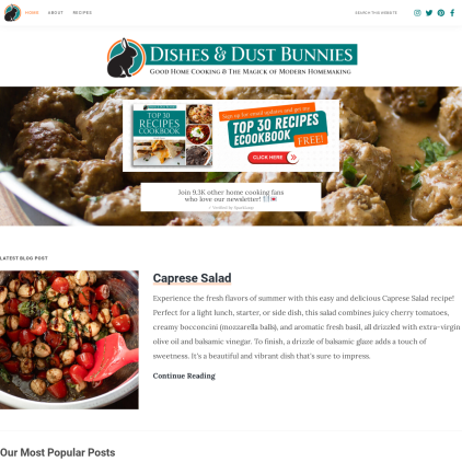 A detailed screenshot showcasing the homepage of dishesanddustbunnies.com, highlighting its main features and design elements.