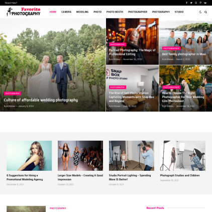 A detailed screenshot showcasing the homepage of favoritophotography.com, highlighting its main features and design elements.