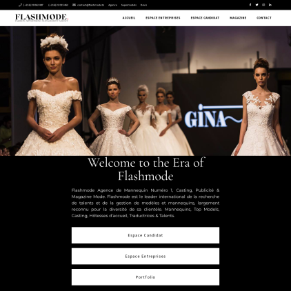 A detailed screenshot showcasing the homepage of flashmode.tn, highlighting its main features and design elements.