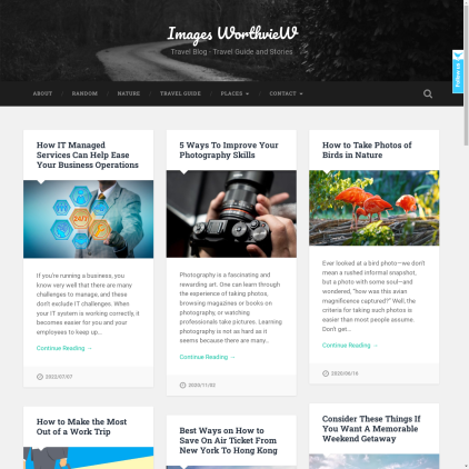 A detailed screenshot showcasing the homepage of images.worthview.com, highlighting its main features and design elements.