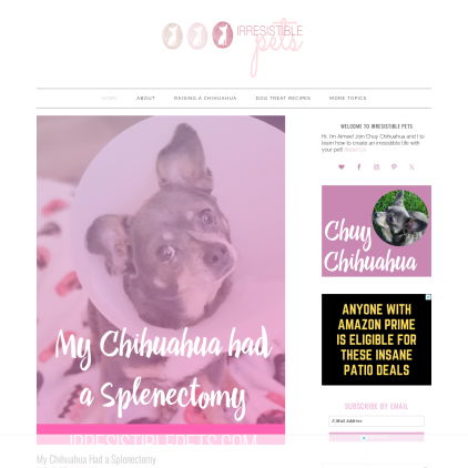 A detailed screenshot showcasing the homepage of irresistiblepets.net, highlighting its main features and design elements.