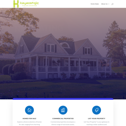 A detailed screenshot showcasing the homepage of kayaostojic.com, highlighting its main features and design elements.