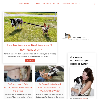 A detailed screenshot showcasing the homepage of littledogtips.com, highlighting its main features and design elements.