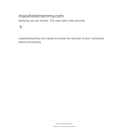 A detailed screenshot showcasing the homepage of massholemommy.com, highlighting its main features and design elements.