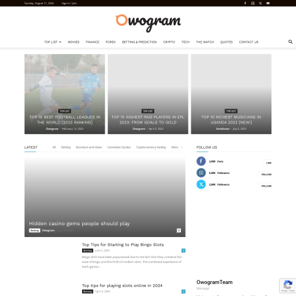 A detailed screenshot showcasing the homepage of owogram.com, highlighting its main features and design elements.