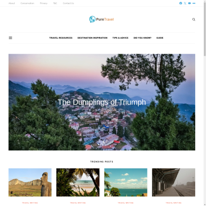 A detailed screenshot showcasing the homepage of puretravel.com, highlighting its main features and design elements.