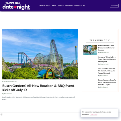 A detailed screenshot showcasing the homepage of tampabaydatenightguide.com, highlighting its main features and design elements.