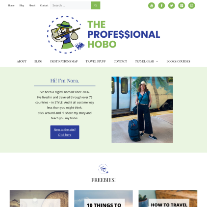 A detailed screenshot showcasing the homepage of theprofessionalhobo.com, highlighting its main features and design elements.