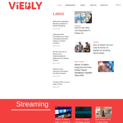 A detailed screenshot showcasing the homepage of viebly.com, highlighting its main features and design elements.