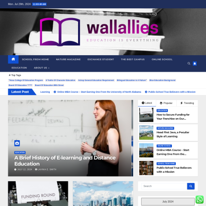 A detailed screenshot showcasing the homepage of wallallies.com, highlighting its main features and design elements.