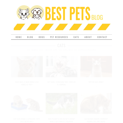 A detailed screenshot showcasing the homepage of www.bestpets.co, highlighting its main features and design elements.