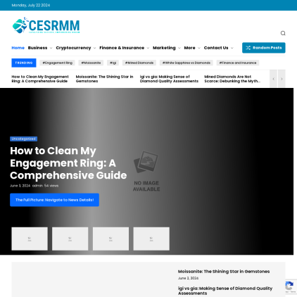 A detailed screenshot showcasing the homepage of www.cesrmm.org, highlighting its main features and design elements.