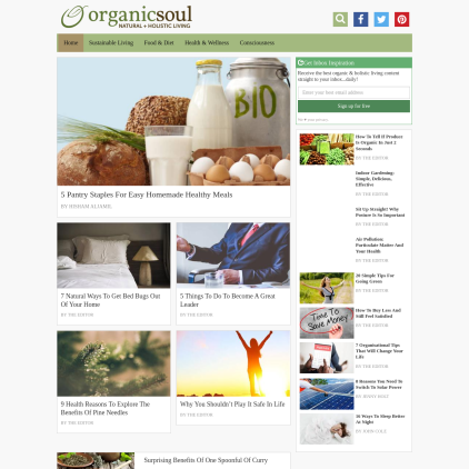 A detailed screenshot showcasing the homepage of www.organicsoul.com, highlighting its main features and design elements.