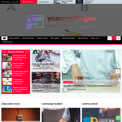 A detailed screenshot showcasing the homepage of ycaccyellingbo.com, highlighting its main features and design elements.